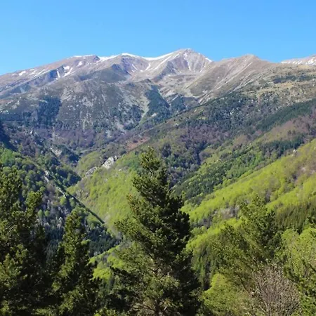 F2 Classe 3 Etoiles Vue Montagne, Exterieur Clos Apartment Arles-sur-Tech